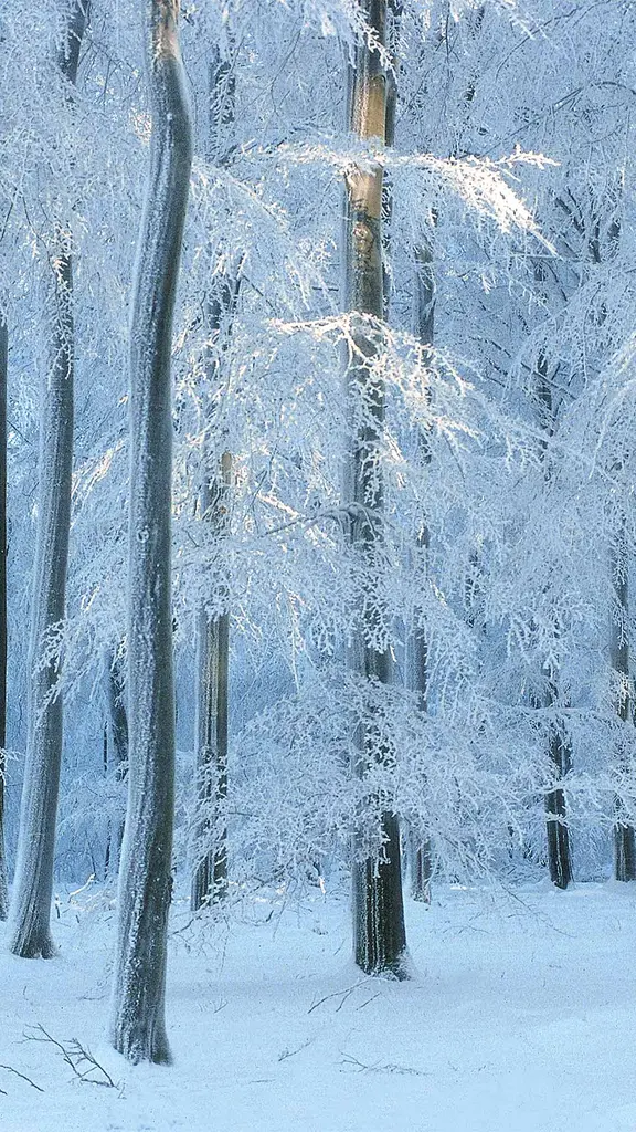 Vieillir avec gr&acirc;ce