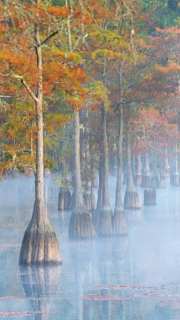 在秋天里傲然挺立