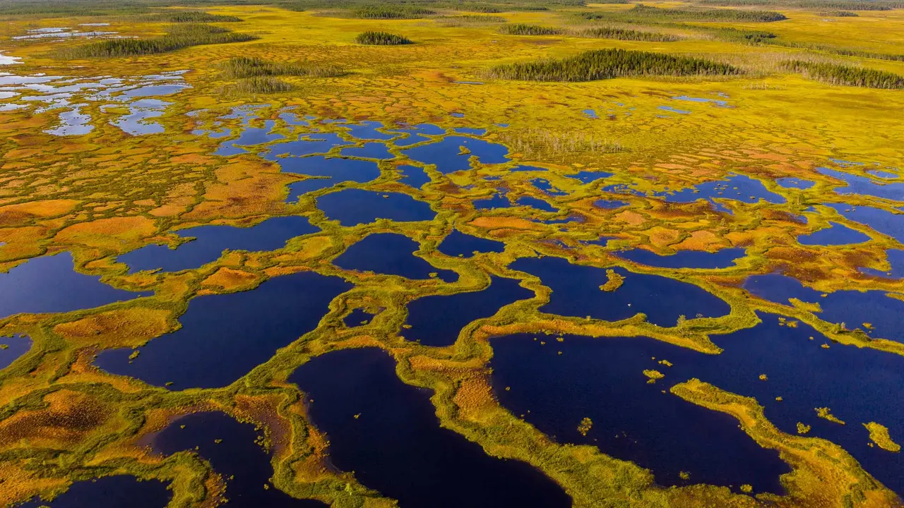 Finland's living peatland
