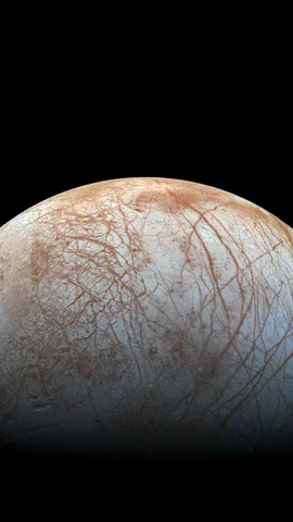 La lune bleue veille