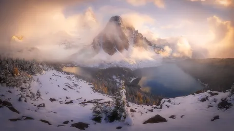 No cora&ccedil;&atilde;o da aventura