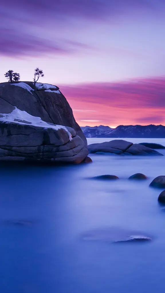 &iexcl;Un bosque diminuto!