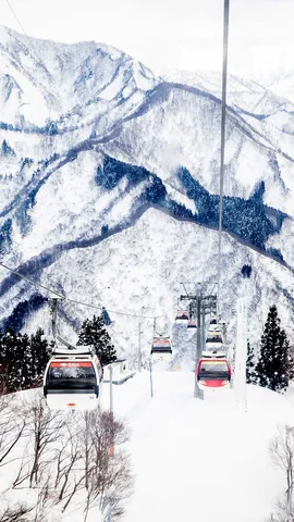 今日はスキーの日