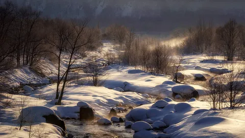 今日 は「大雪」