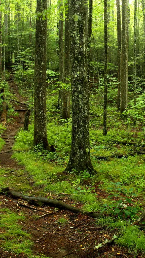 Aventuras e belezas naturais
