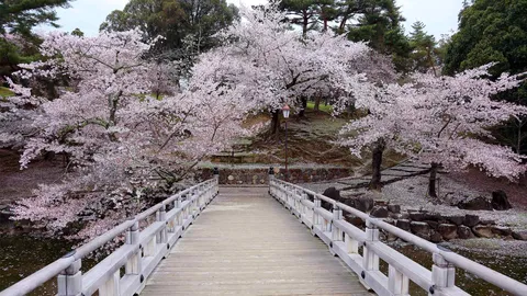 今日は年度初日