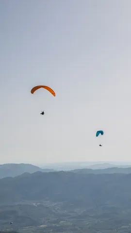 &iexcl;Viento en popa!