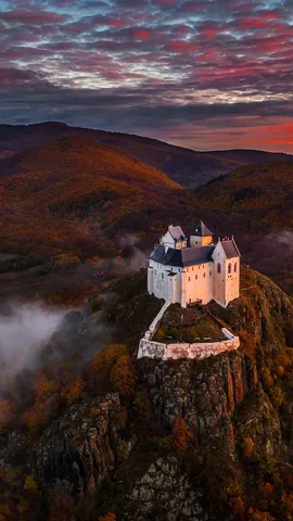 &iquest;Qu&eacute; se esconde en estos tenebrosos bosques?