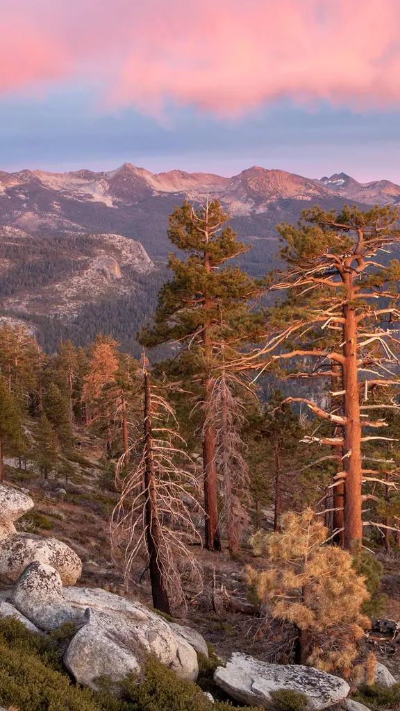 Echos aus der Clark Range