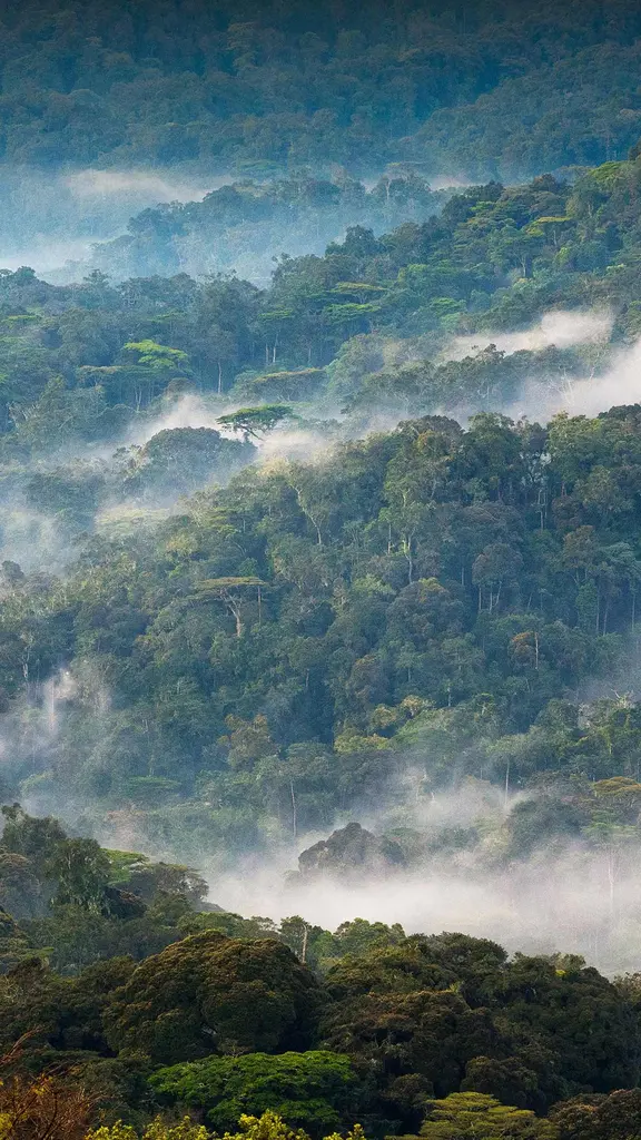 Non &egrave; meraviglioso?