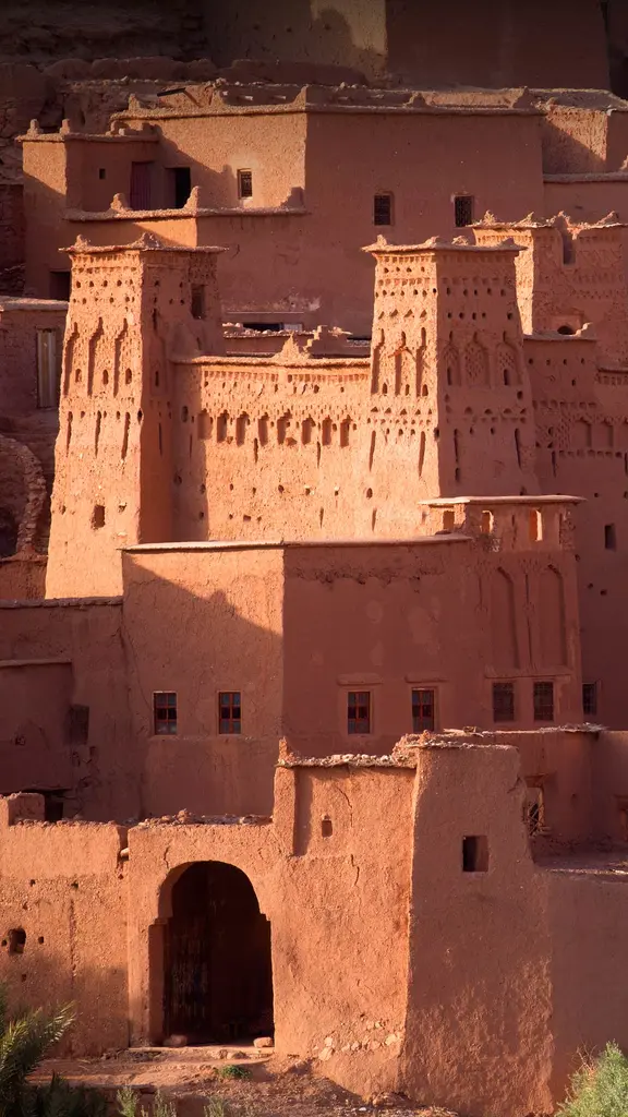 Guardians of the dunes