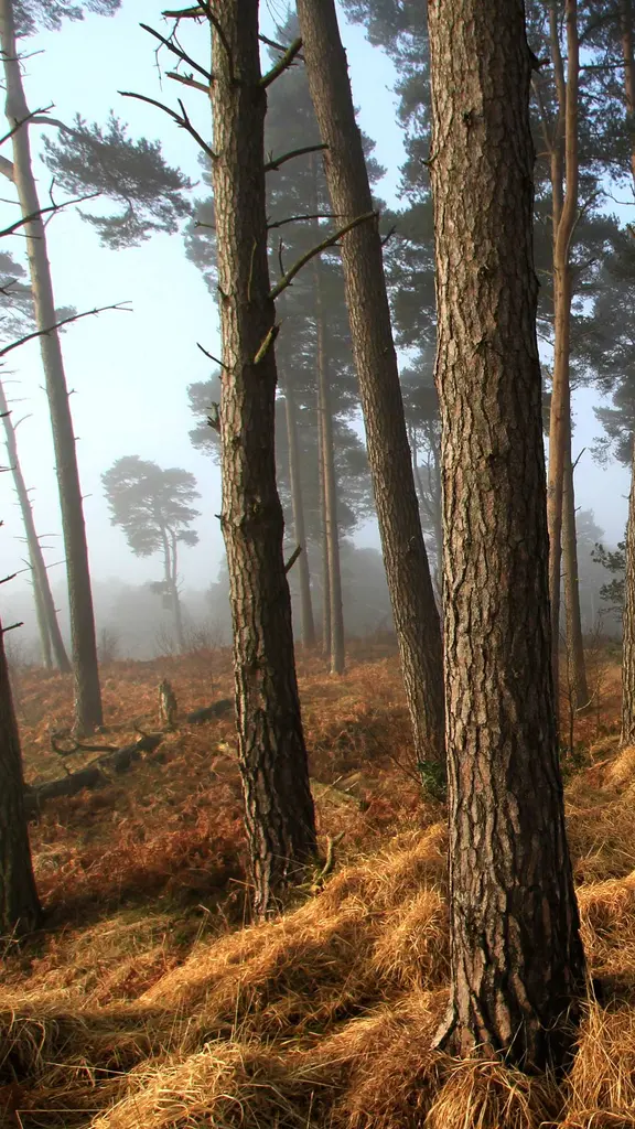 A place to think, think, think