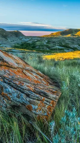 A grama parece mais verde deste lado