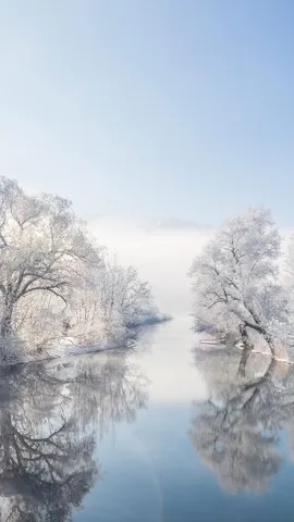 Neues Jahr, neue Chancen