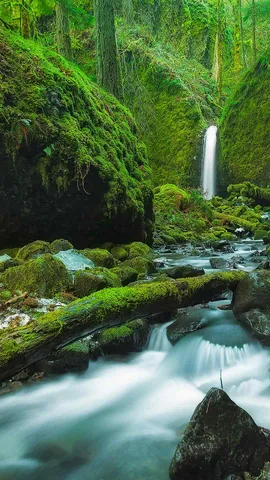 这个隐秘的瀑布在哪里？