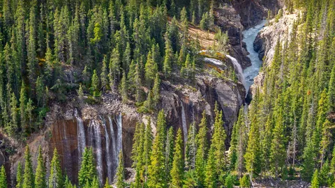 Like a waterfall, free and wild