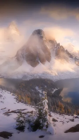 No cora&ccedil;&atilde;o da aventura