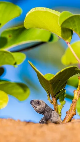 C&rsquo;est le grand d&eacute;part !