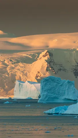 今日は南極条約が採択された日