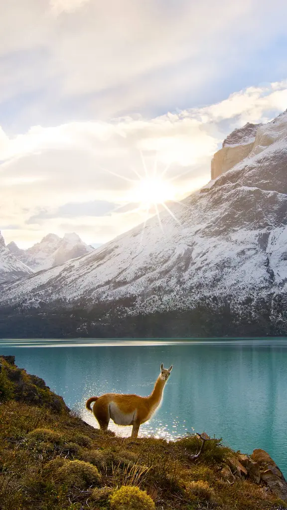 Attitude and altitude