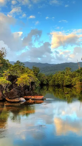 世界环境日快乐！