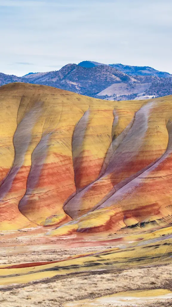 Echos des Aussterbens