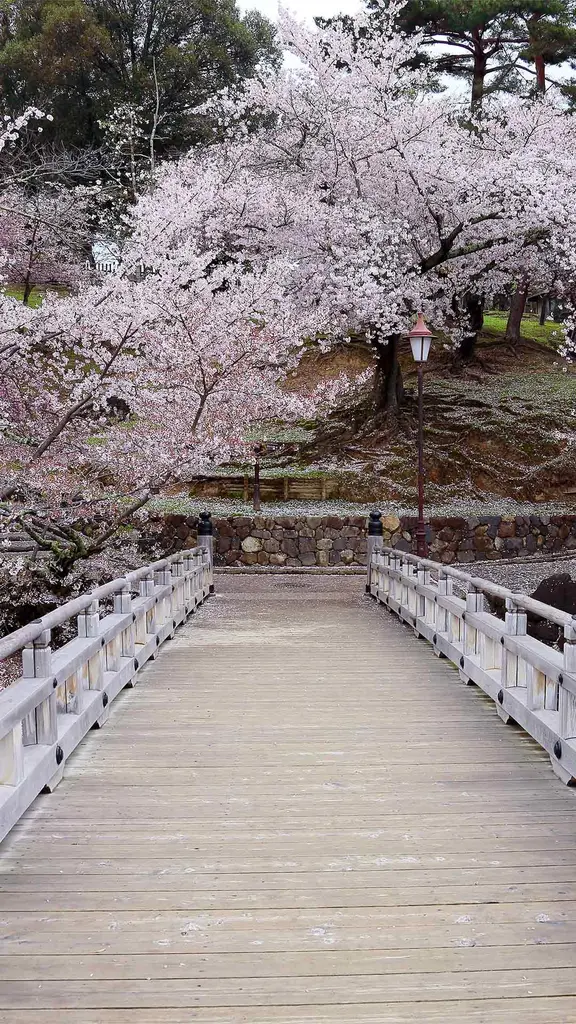 今日は年度初日