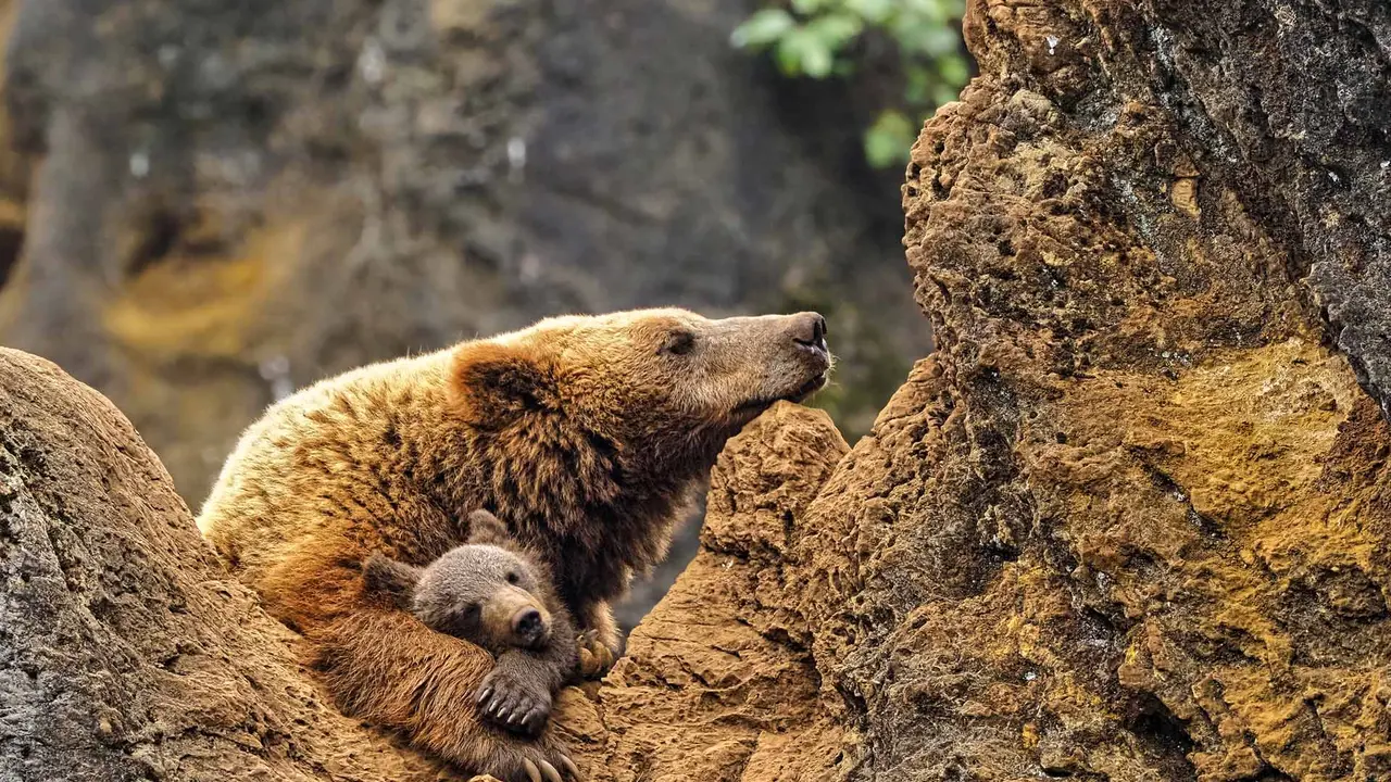 Un d&iacute;a para relajarse