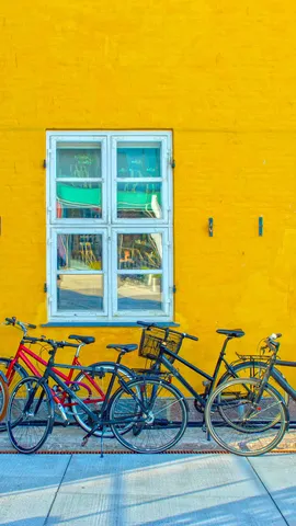 一起骑车去兜风吧