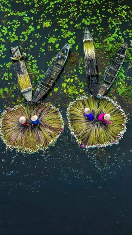 &iexcl;Vamos a cosechar aromas!