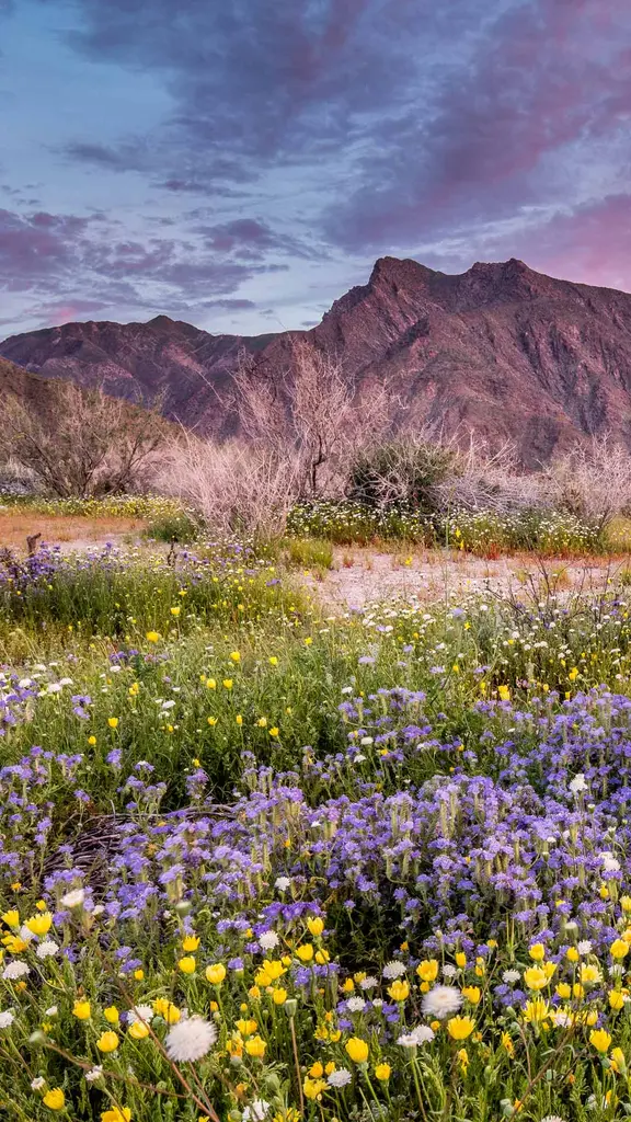 Mudan&ccedil;as de esta&ccedil;&otilde;es
