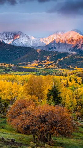 カラフルな森と雄大な山