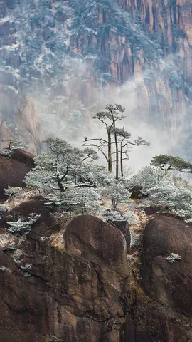 Vuoi dare un'occhiata?