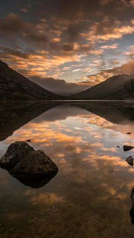 &iexcl;Un paseo sobre ruedas!