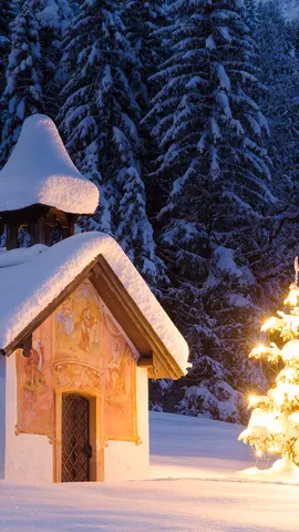 Stille Nacht, heilige Nacht!