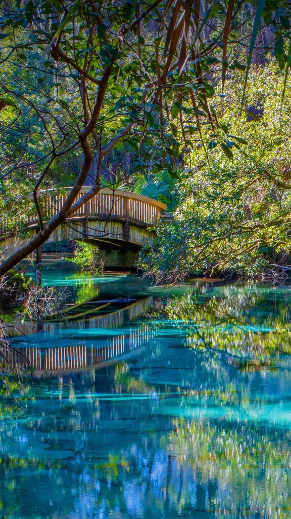 全年均可在此畅游