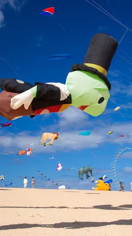 Dejando volar la imaginaci&oacute;n