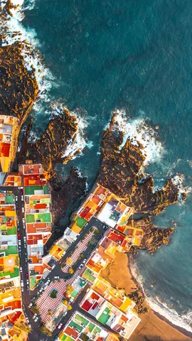 Vibranti colori tutto l'anno!