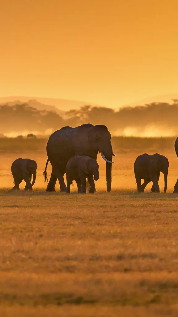 Majest&auml;tische Pr&auml;senz in Gefahr