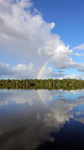 Mirror, mirror, on the water