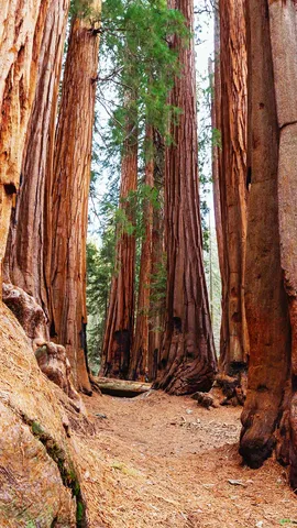 O reino dos antigos gigantes