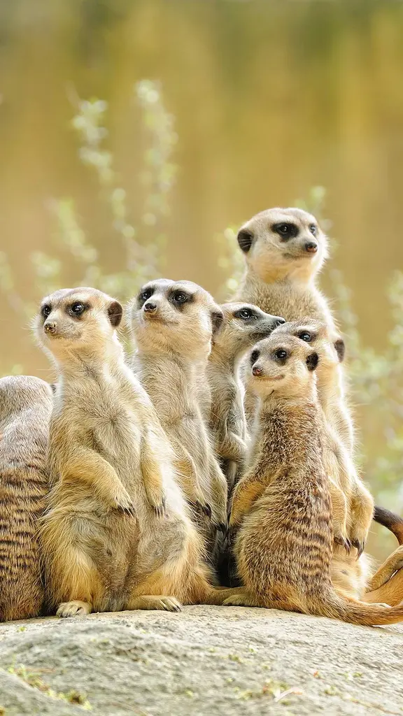 Bereit f&uuml;r das n&auml;chste Abenteuer?