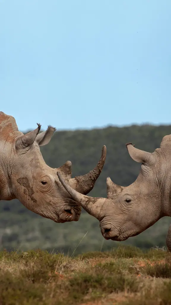 Sorry to crash your party