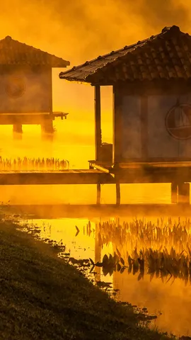 Entre n&eacute;voas e p&ocirc;r do sol