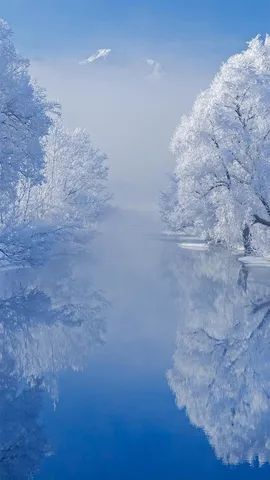冬日里的科赫尔湖，德国巴伐利亚州