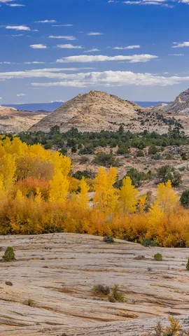 Un toque de oro oto&ntilde;al