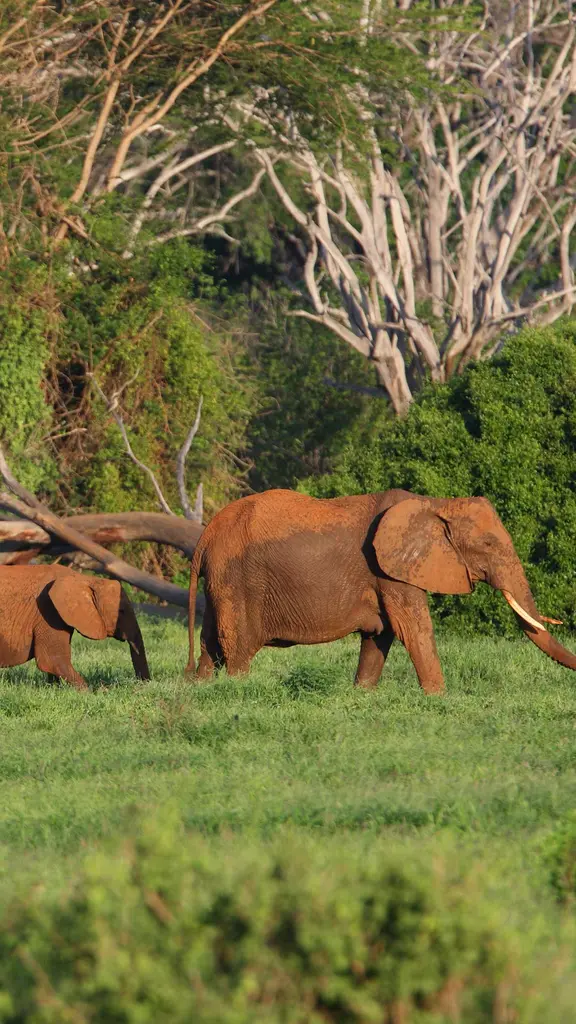 Les b&acirc;tisseurs de l'avenir