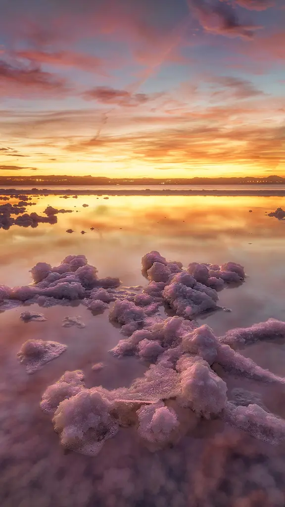 ピンクに輝く湖水