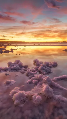 ピンクに輝く湖水