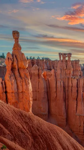 Uma floresta de pedras